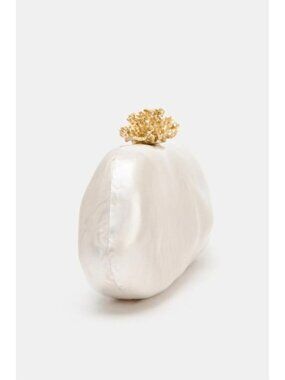 ZARA METALLIC DETAIL CLUTCH